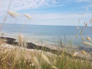 MaPauseDetox-IleDeRe20220601_180352