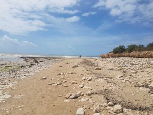 MaPauseDetox-IleDeRe20220607-132505