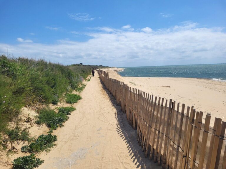 Chemin le long de la plage vers Martray