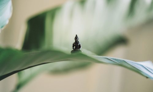 Ma Pause Détox - Yoga
